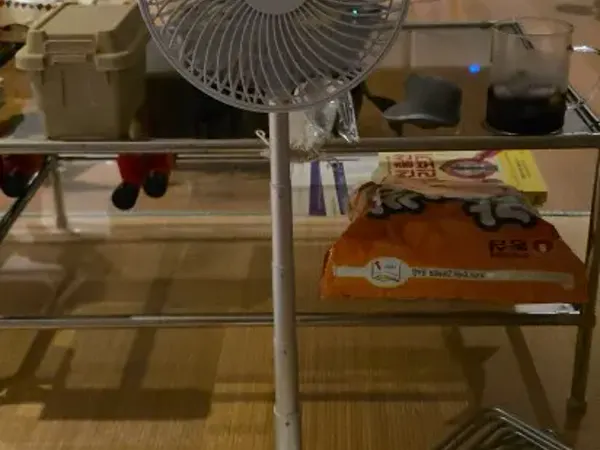 Ventilateur sur pied Ventéo Tower blanc déployé dans un salon